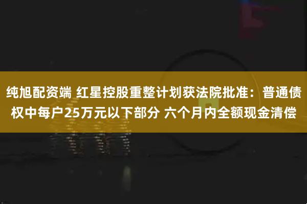 纯旭配资端 红星控股重整计划获法院批准：普通债权中每户25万元以下部分 六个月内全额现金清偿